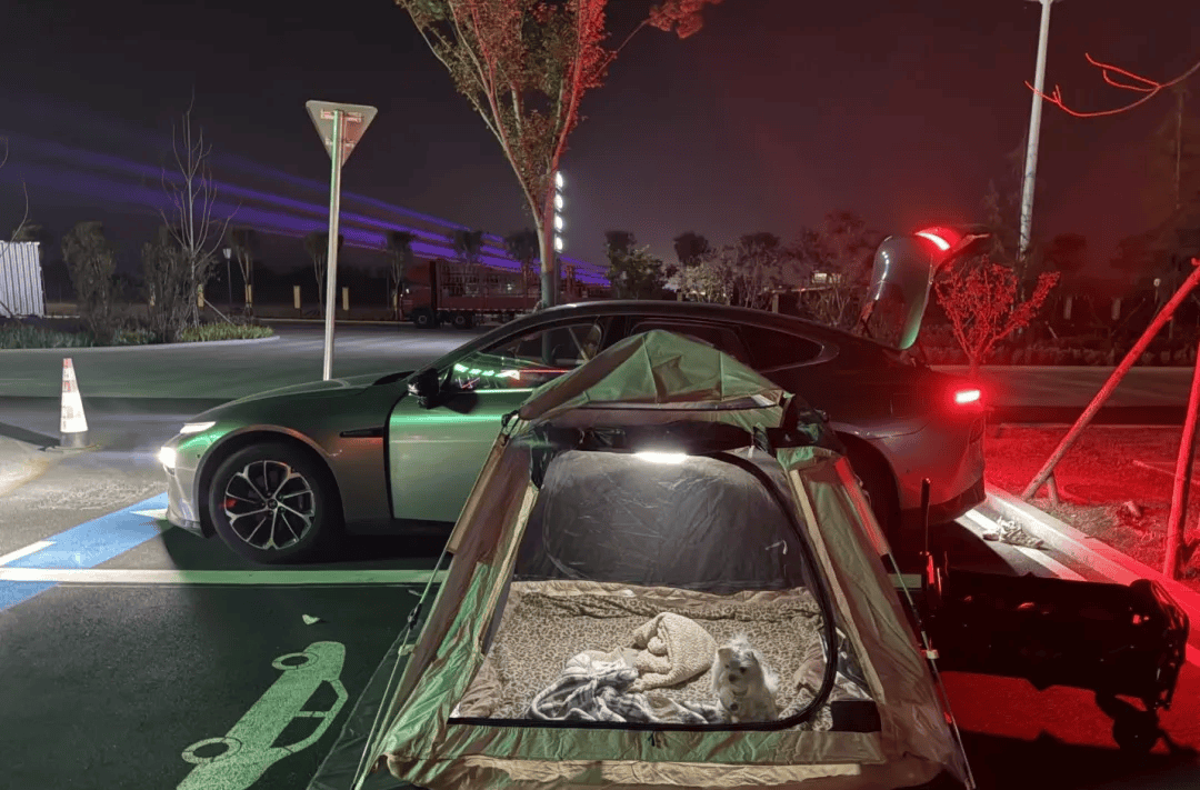 期间年轻人旅行掀起“帐篷过夜”热潮瓦力娱乐棋牌不住酒店住帐篷！国庆(图1)